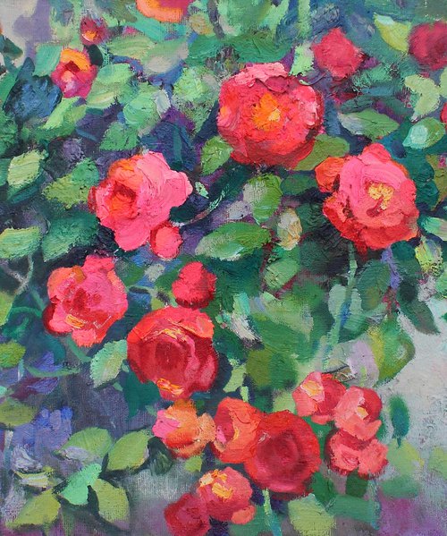 Flowerbed. Roses in June by Anastasiia Grygorieva