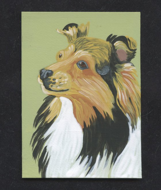 ACEO ATC Original Miniature Painting Sheltie Shetland Sheepdog  Pet Dog Art-Carla Smale