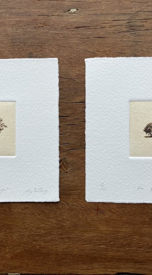 “ UN PETIT PAYSAGE ” #48 & #45 by Rung Tsu Chang