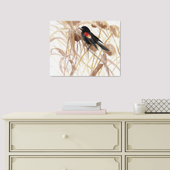 Red Winged Blackbird