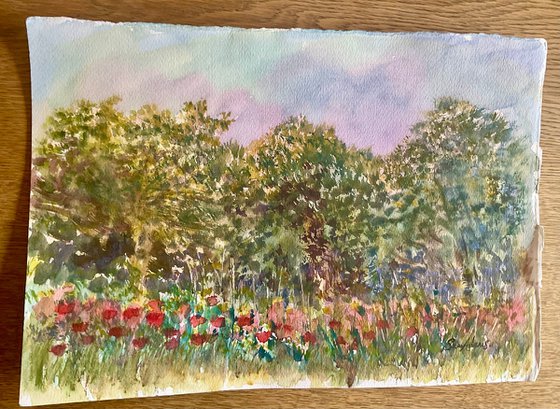 Summer meadow and Oak trees