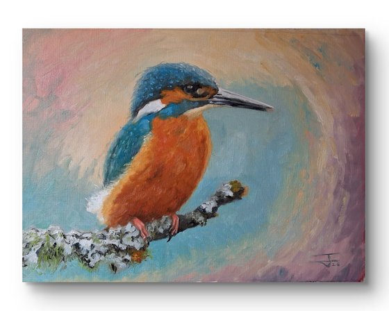 Kingfisher on the lichen