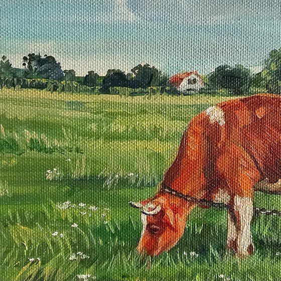 Summer Pasture