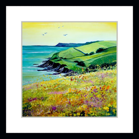 Summer Coast