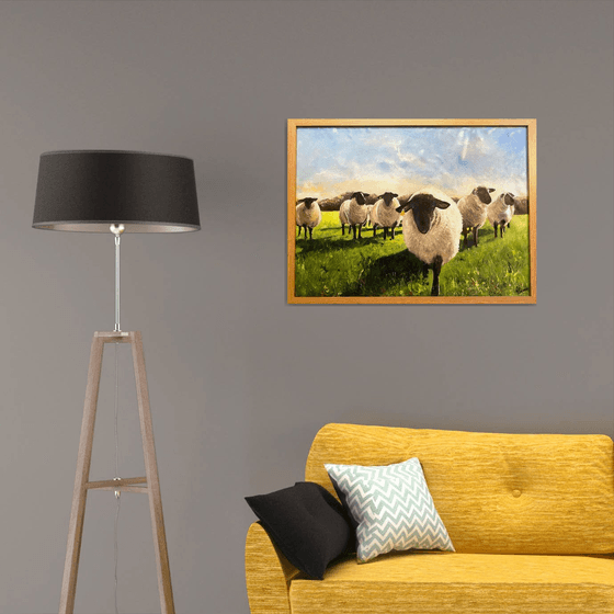 Flock of Black Face Sheep in a Field Framed