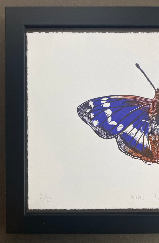 Purple Emperor