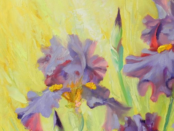 "Iris"