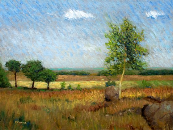 Impressionist field and trees in English landscape, Leicestershire