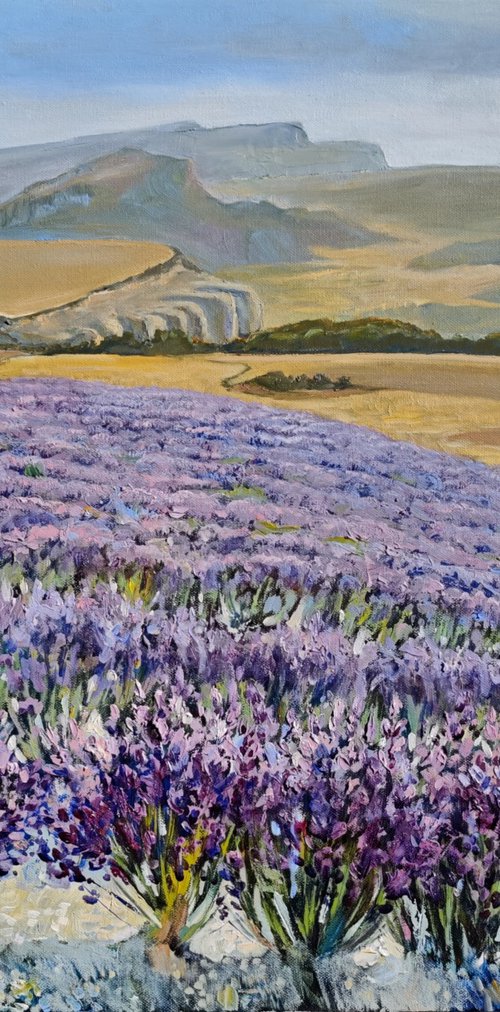 Lavender Heat by Elina Vetrova