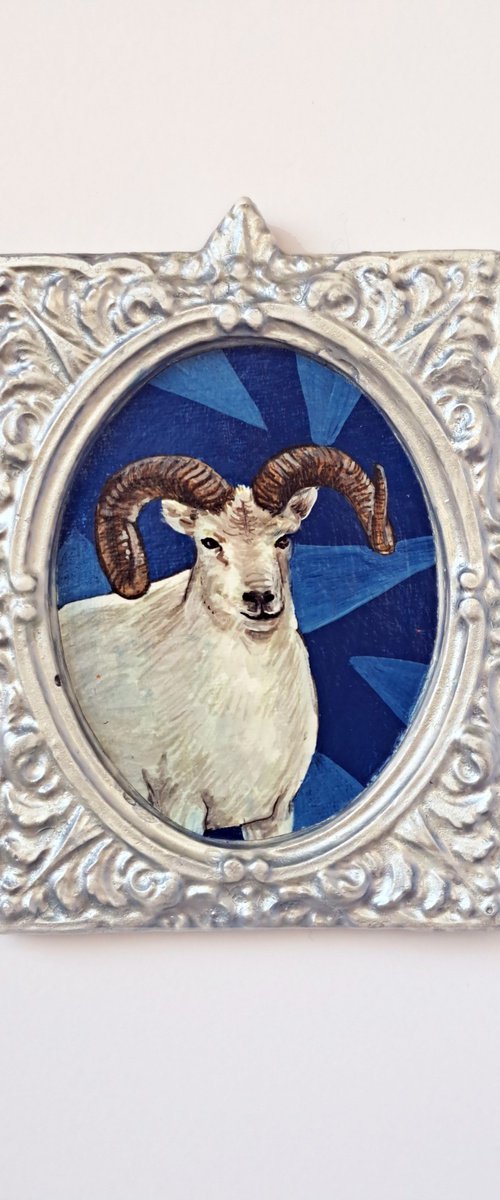 Dall sheep, part of framed animal miniature series "festum animalium" by Andromachi Giannopoulou