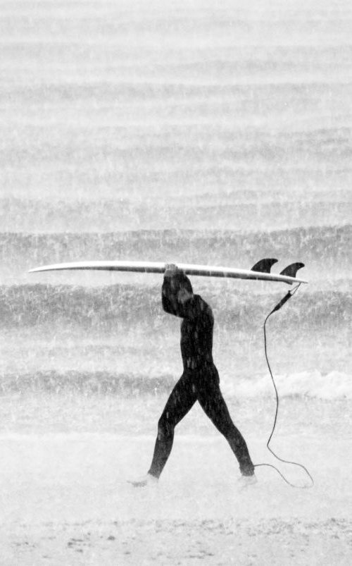 MONSOON SURFER by Andrew Lever