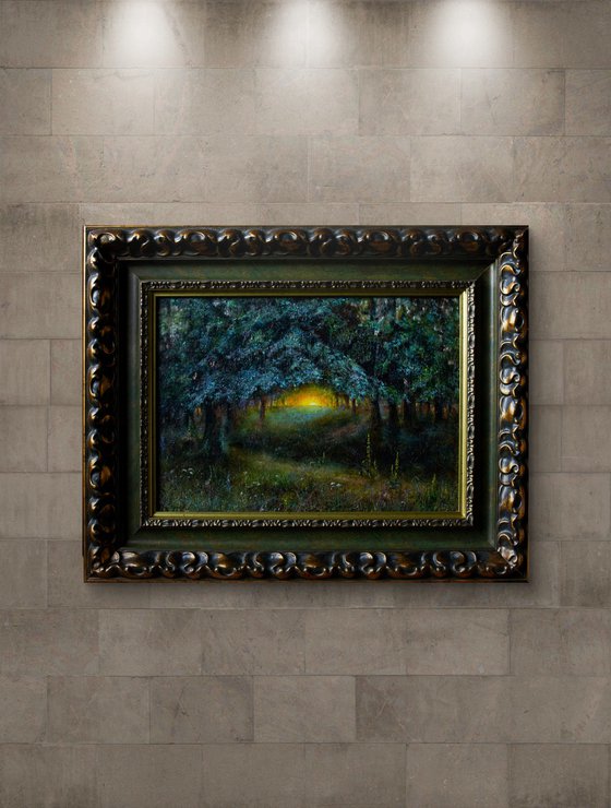 Sunset in the forest
