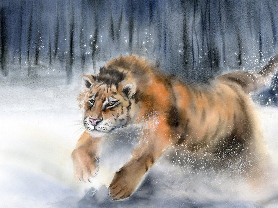 Tiger in Snow