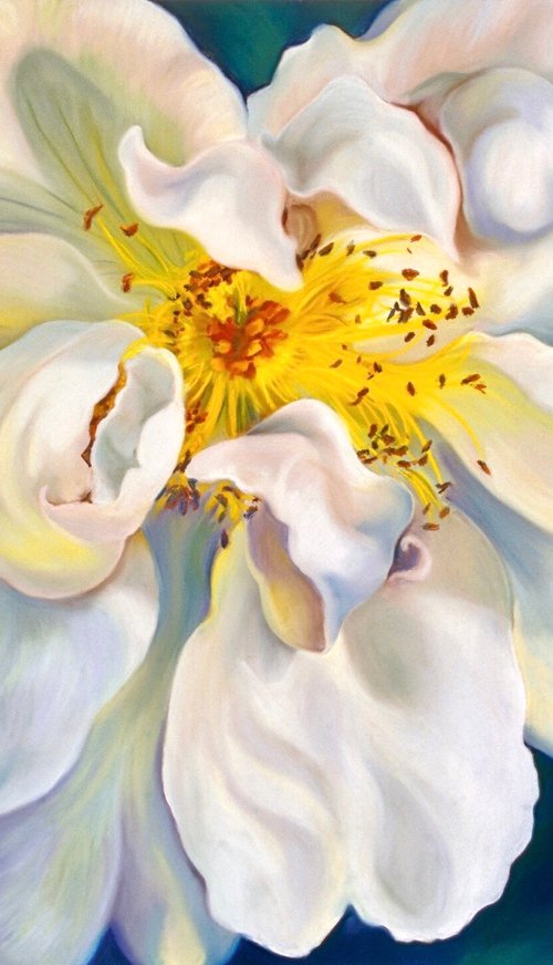 Debutante by Anita Nowinska