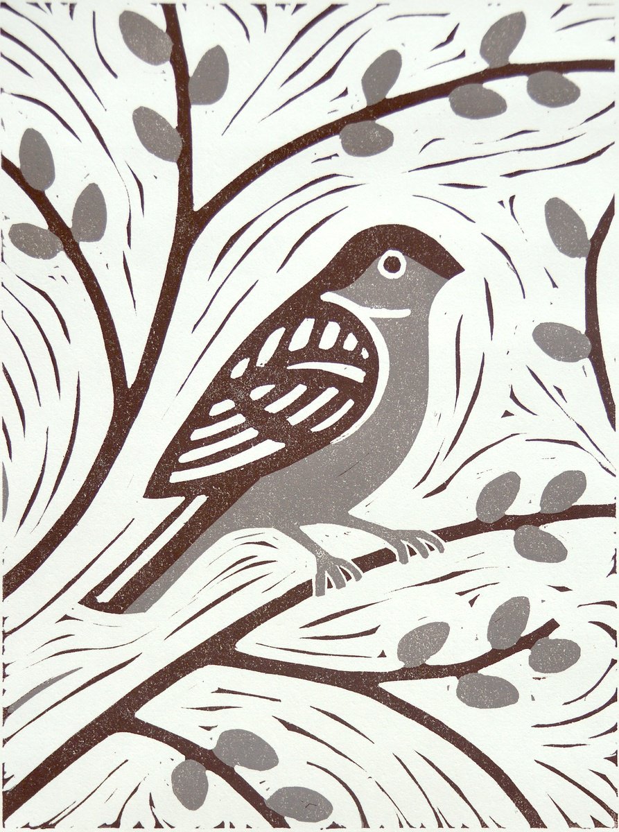 Sparrow by Melissa Birch
