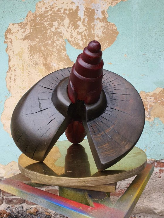 "Spinning Top"