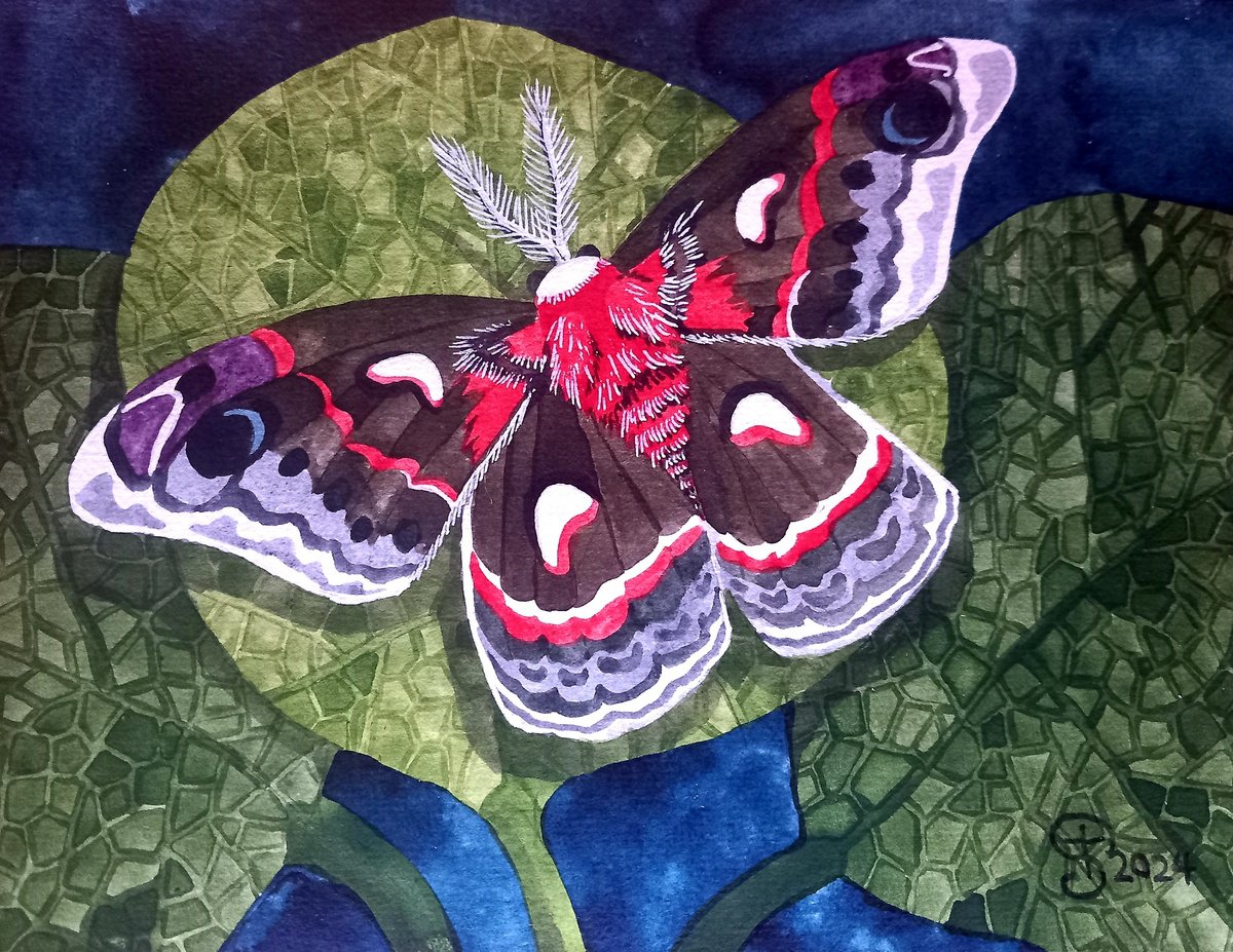 Illustrative Animal Watercolour By Terri Smith, 10 X 12", Cecropia Moth, Original Artwork