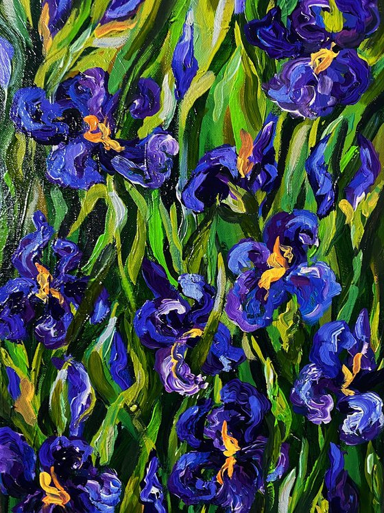 Purple Irises