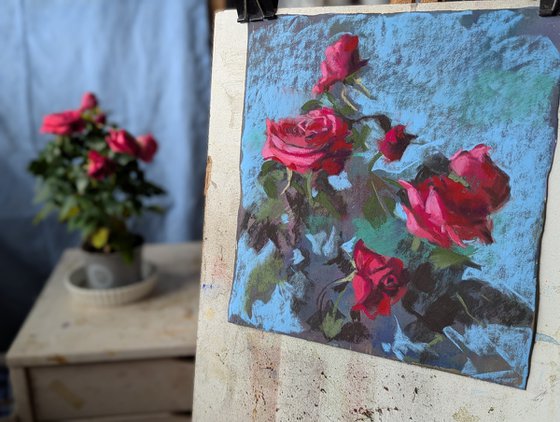Pink Roses