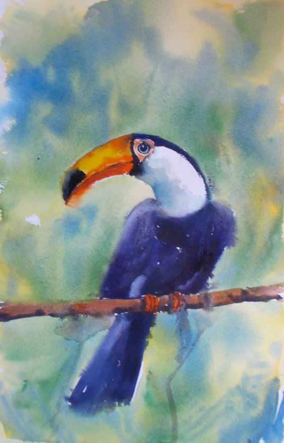 Toucan