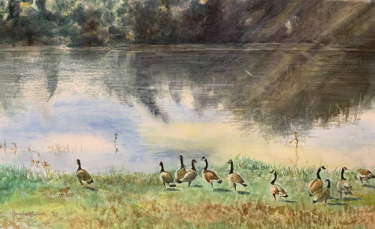 Impressionistic Watercolour , Goose Pond By Yoshiko Murdick, 30 X 18, Artwork For Sale On Artfinder
