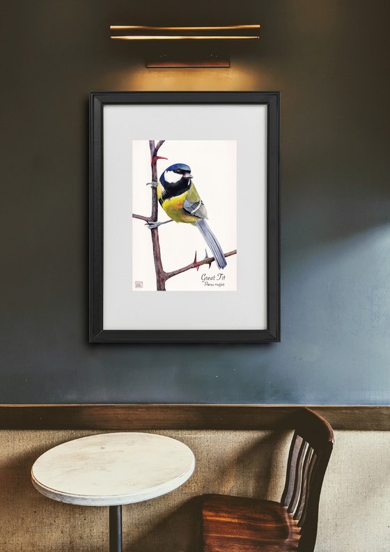 Great Tit