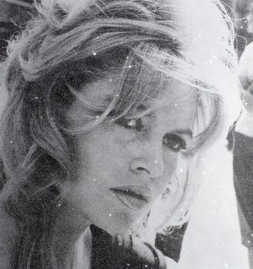 Brigitte Bardot-Silver by David Studwell