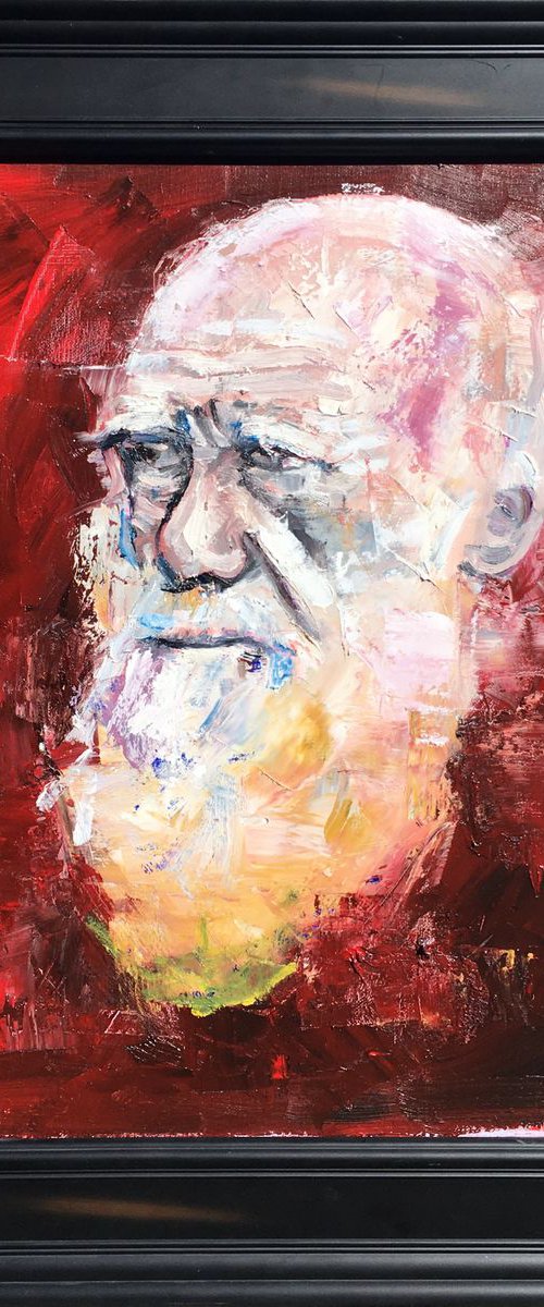 Darwin by Jonathan McAfee