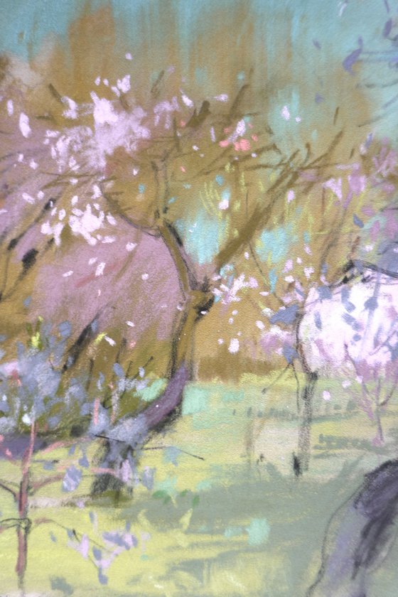 In a blossoming park