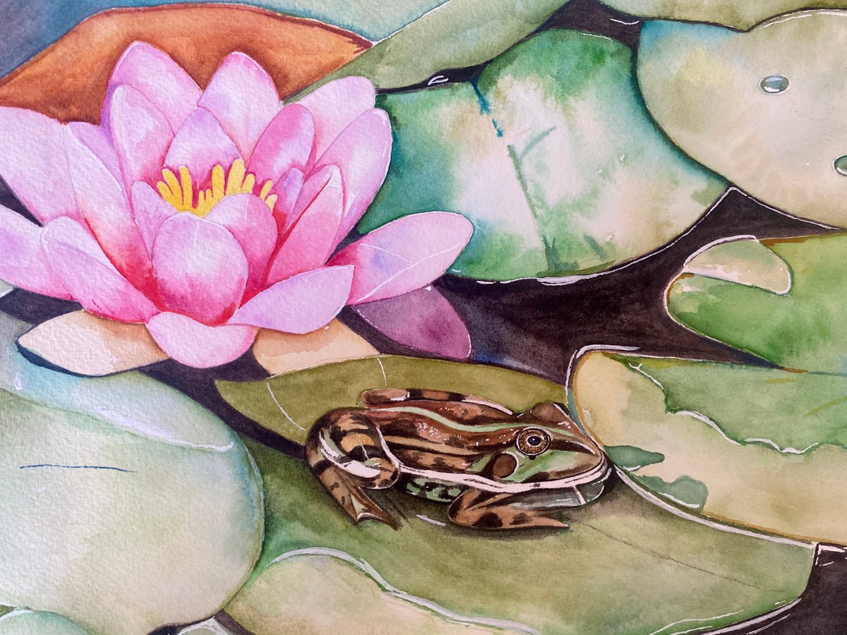 Frog with Lily pads Original Painting — Art by Alyssa