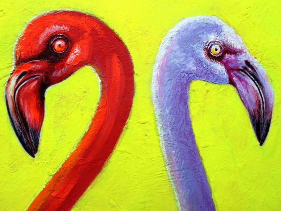 Flamingo 2
