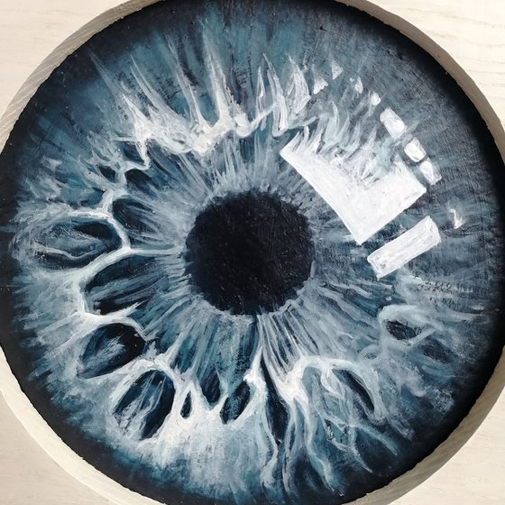 Iris of the eye | 16 cm