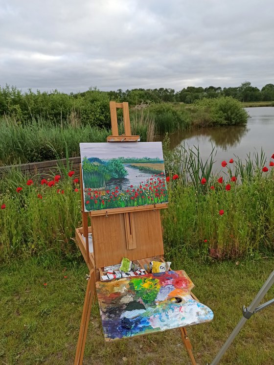 Red poppies by the water. Pleinair painting