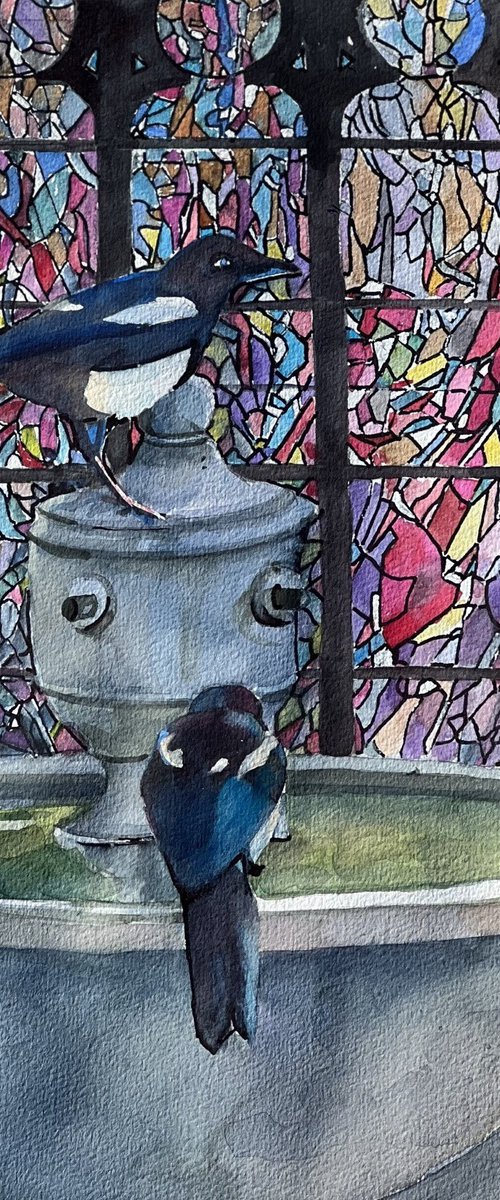 In Praise of Magpies by Bronwen Jones