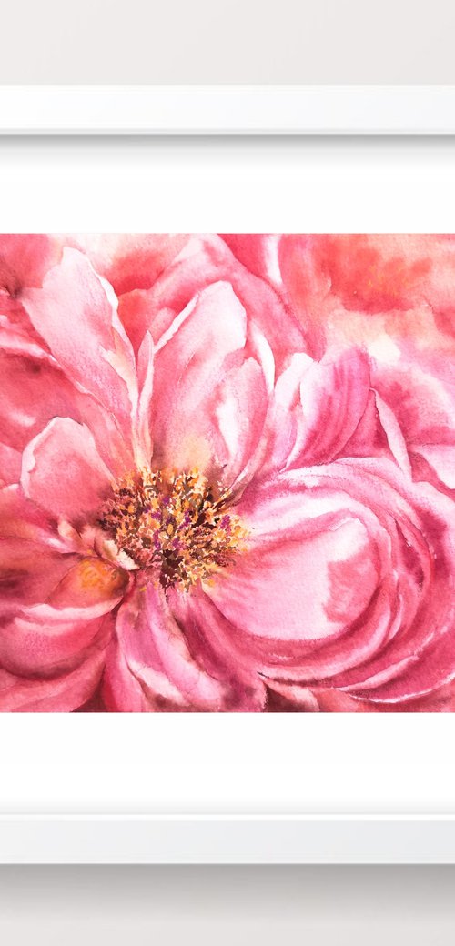 Watercolor peony, small floral painting by Olga Grigo