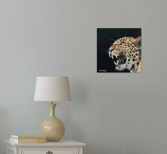 Leopard portrait