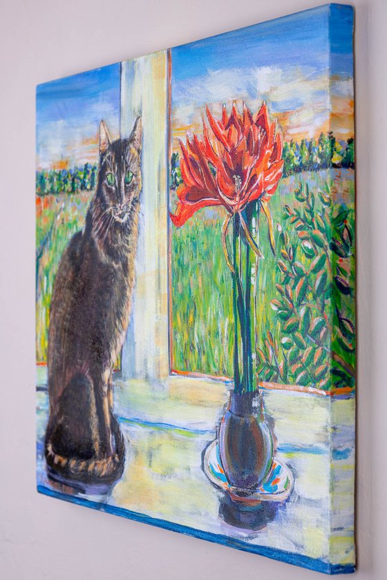WINDOWSILL CAT WITH RED AMARYLLIS
