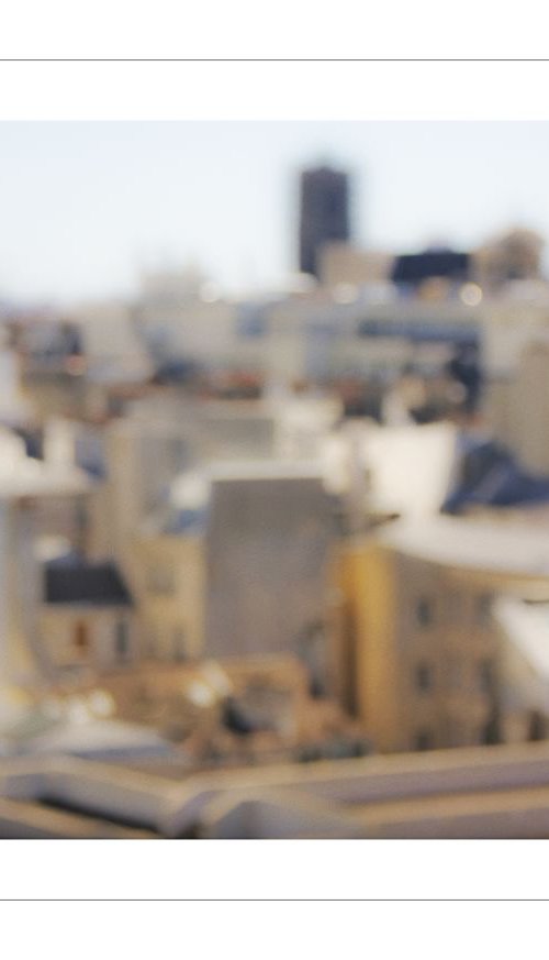 Parisian Roofs 3 by Beata Podwysocka