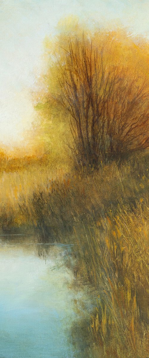 Wetlands Glow 251202 by Don Bishop