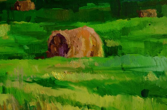 A Cat Among the Hay Bales
