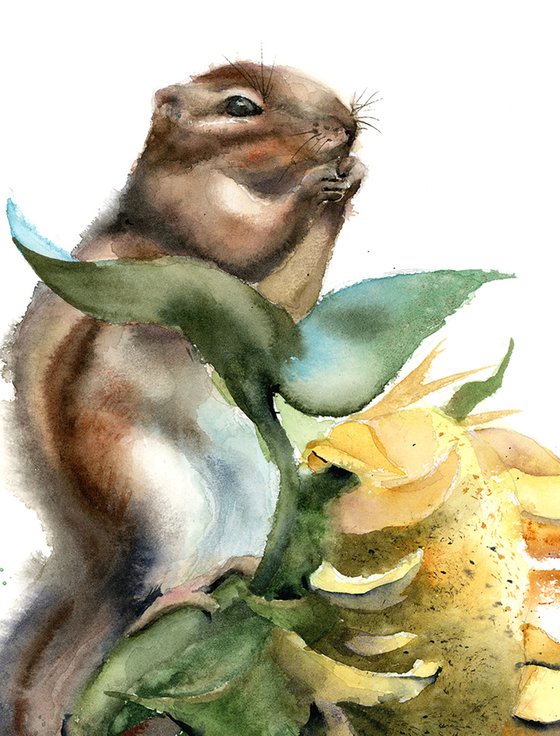 Chipmunk and Sunflower