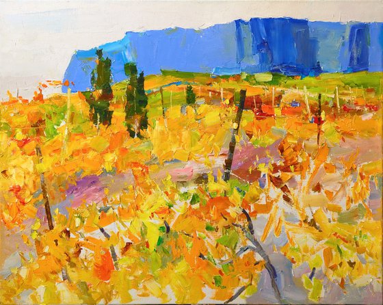 "Vineyards in the mountains "