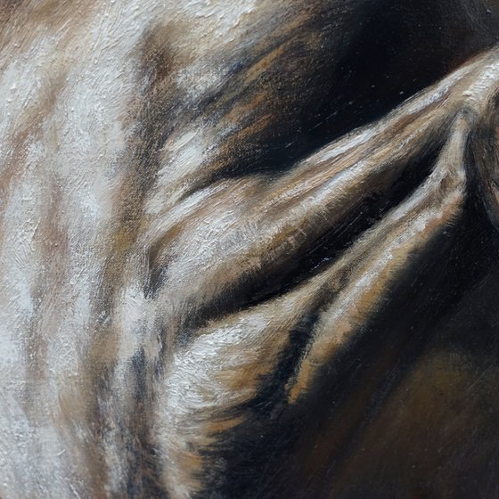 Power and Elegance - Original Horse Portrait