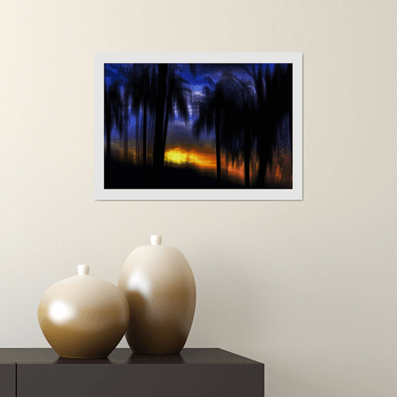 Tropical Palms. Limited Edition 1/50 15x10 inch Photographic Print