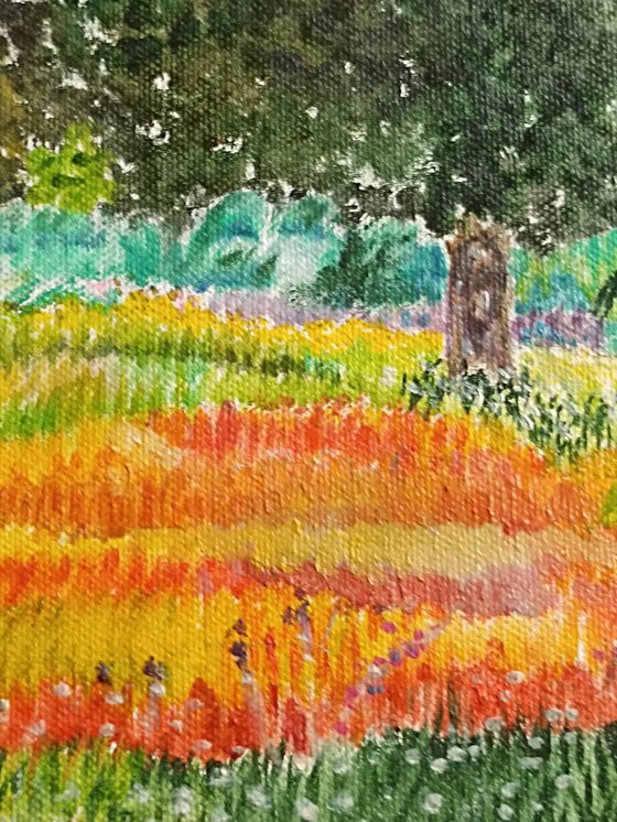 Colored countryside