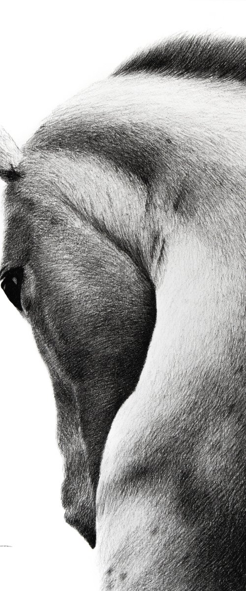 untitled by Mariam Darchiashvili