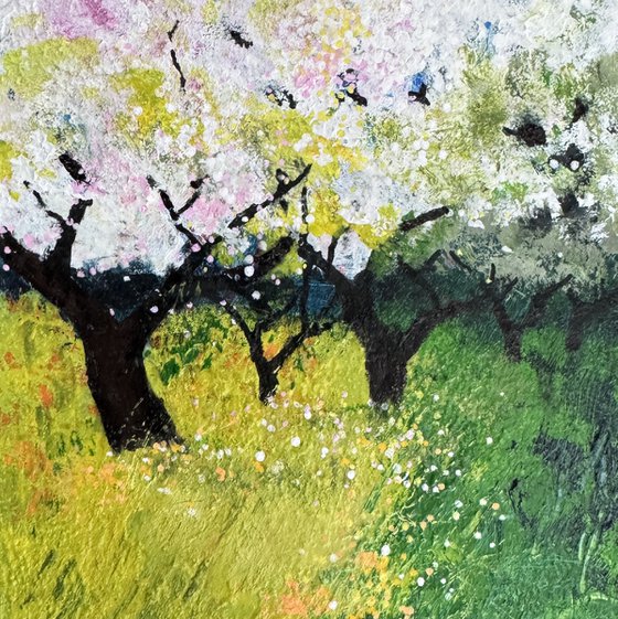 Pink Blossom Springtime
