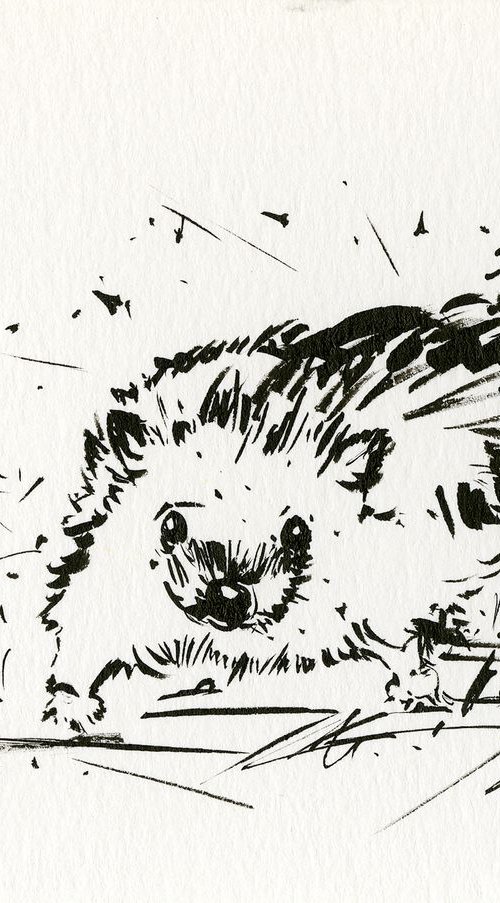 Adorable Hedgehog 4 by Kathy Morton Stanion