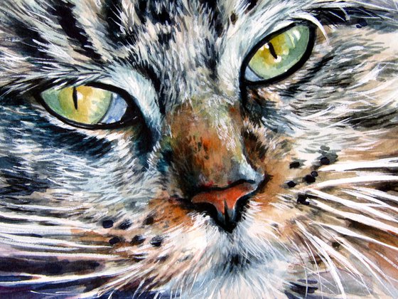 Resting cat at home