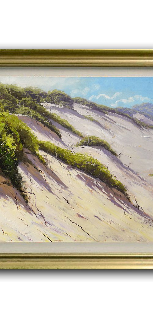 Coastal Sand Dunes by Graham Gercken